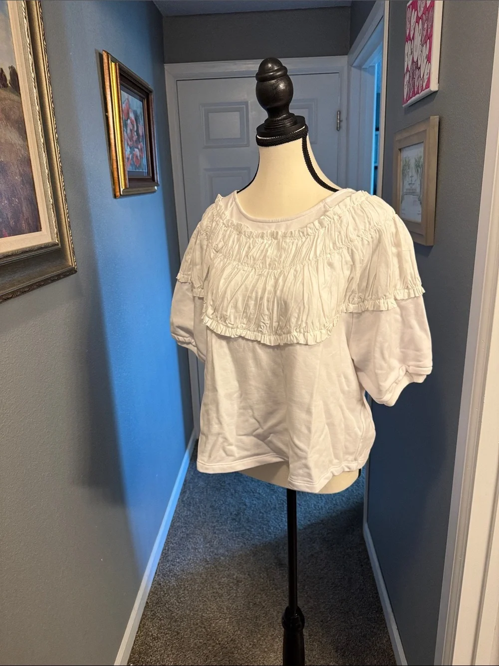 Anthropologie White Ruffled Bib Short-Sleeve Top with Pink Ribbons Back Details
